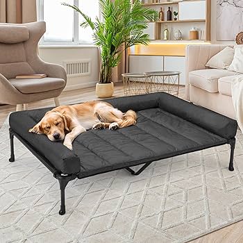 DOG IN BLANKET CDセット Amazon.com : Paws & Pals Dog Playpen with Blanket – Portable